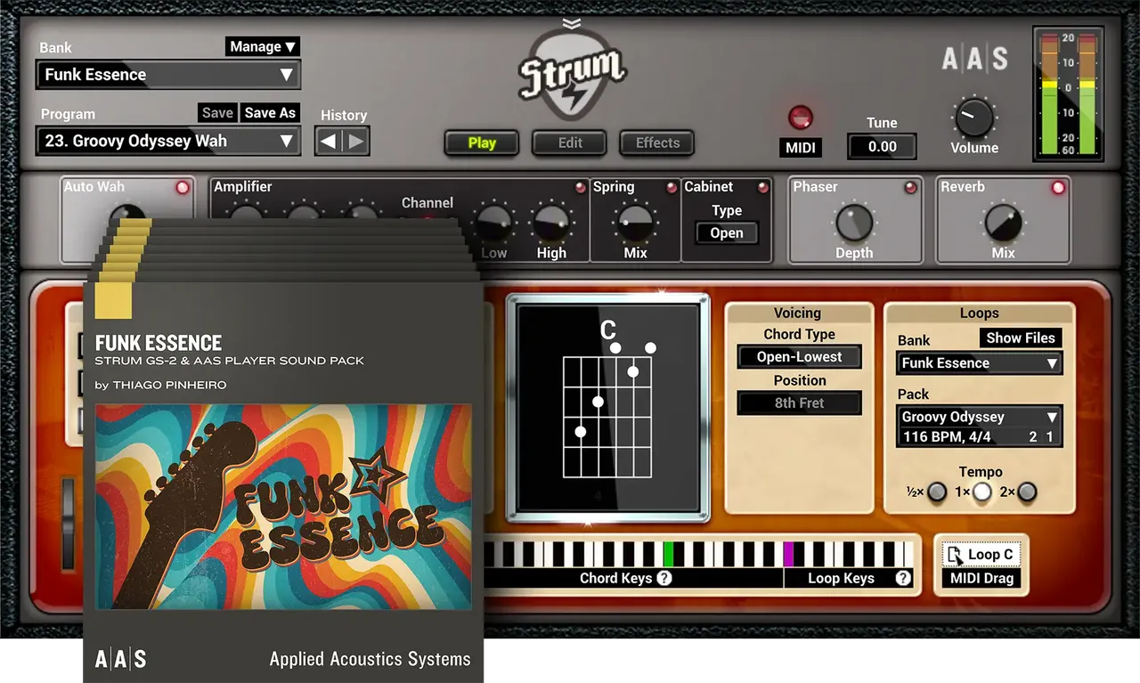 Applied Acoustics Strum GS-2 + PACKS