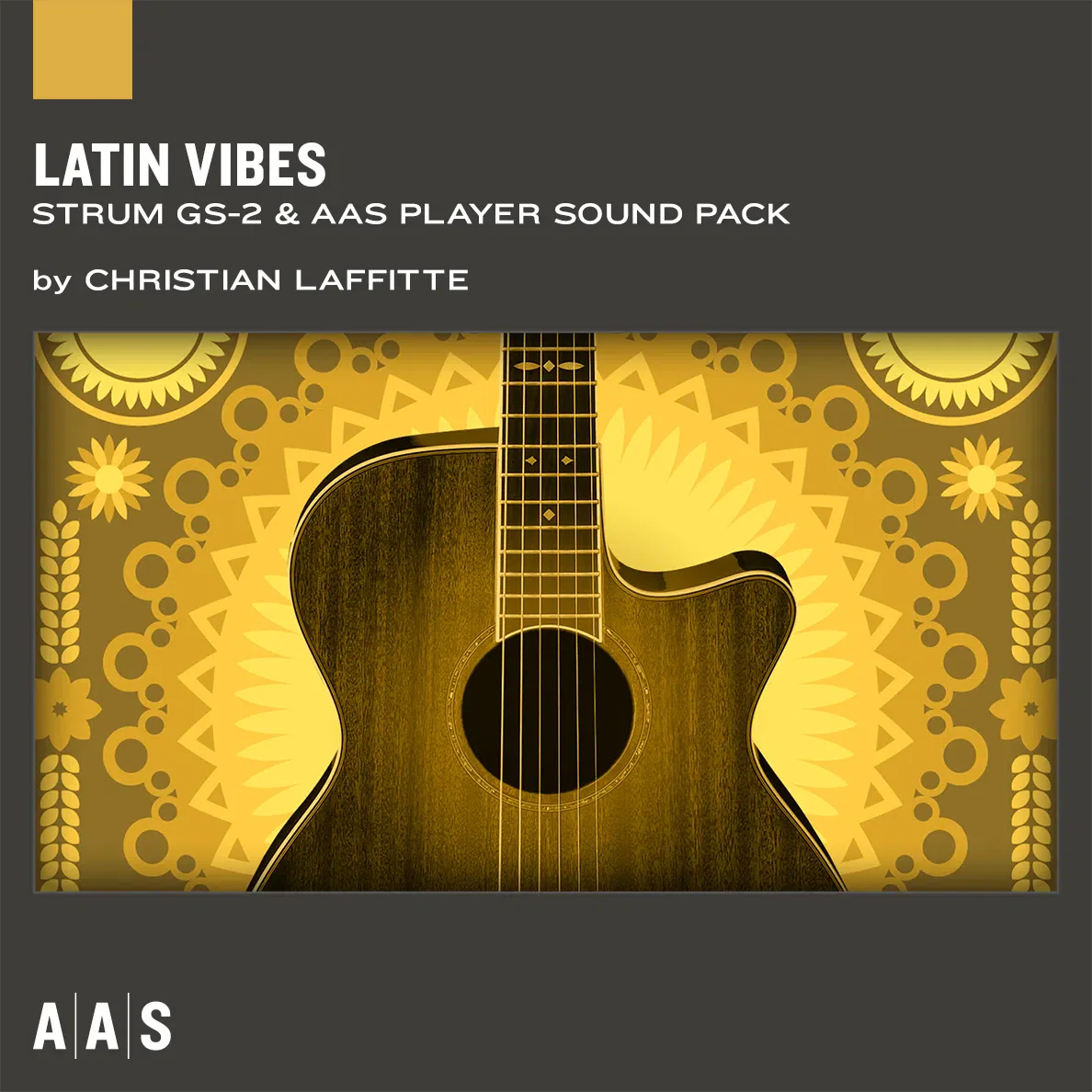 Applied Acoustics Strum GS-2 + PACKS - Image 3