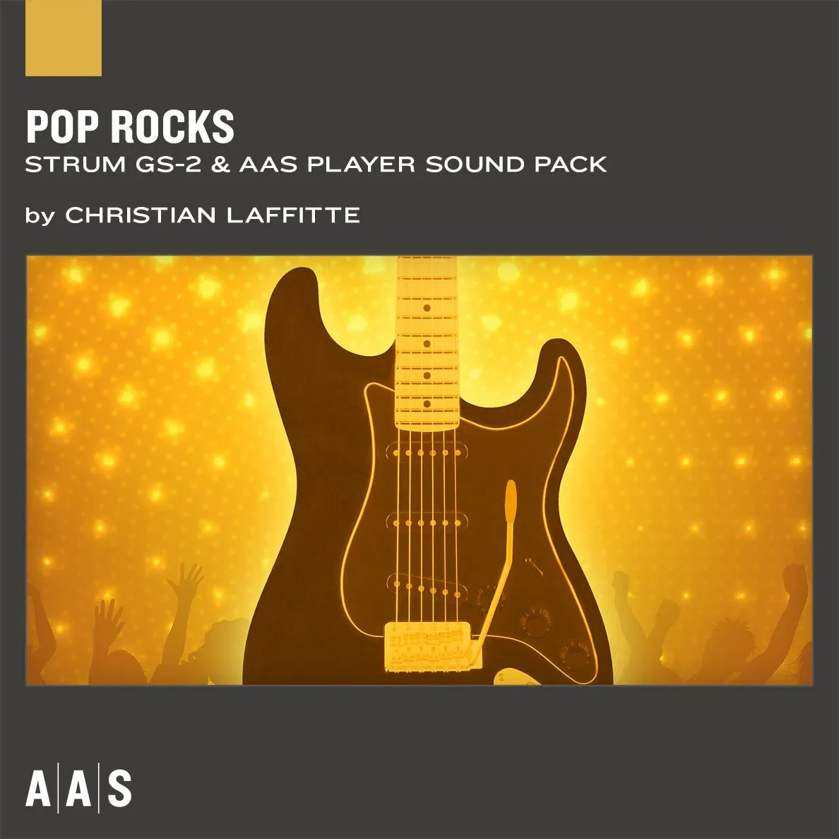 Applied Acoustics Strum GS-2 + PACKS - Image 4