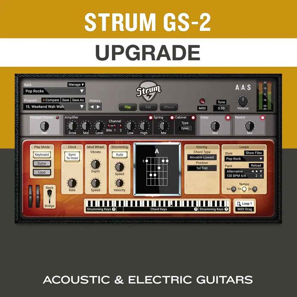 Applied Acoustics Strum GS-2 Upgrade