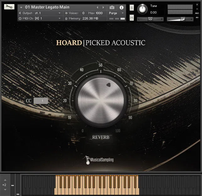 Musical Sampling Hoard Picked Acoustic - Image 2