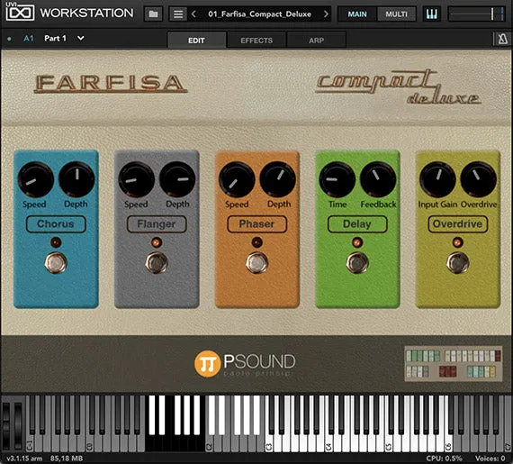 Psound Farfisa Compact - Image 2