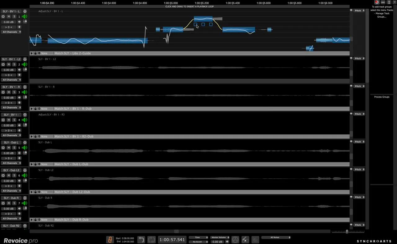 Synchro Arts Revoice Pro 5 Crossgrade - Image 3