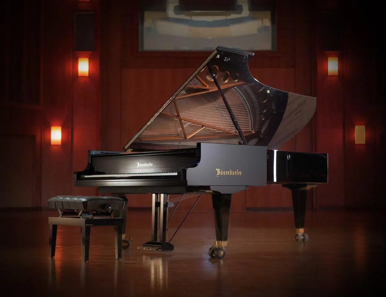 Vienna Synchron Bösendorfer Imperial Standard - Image 2