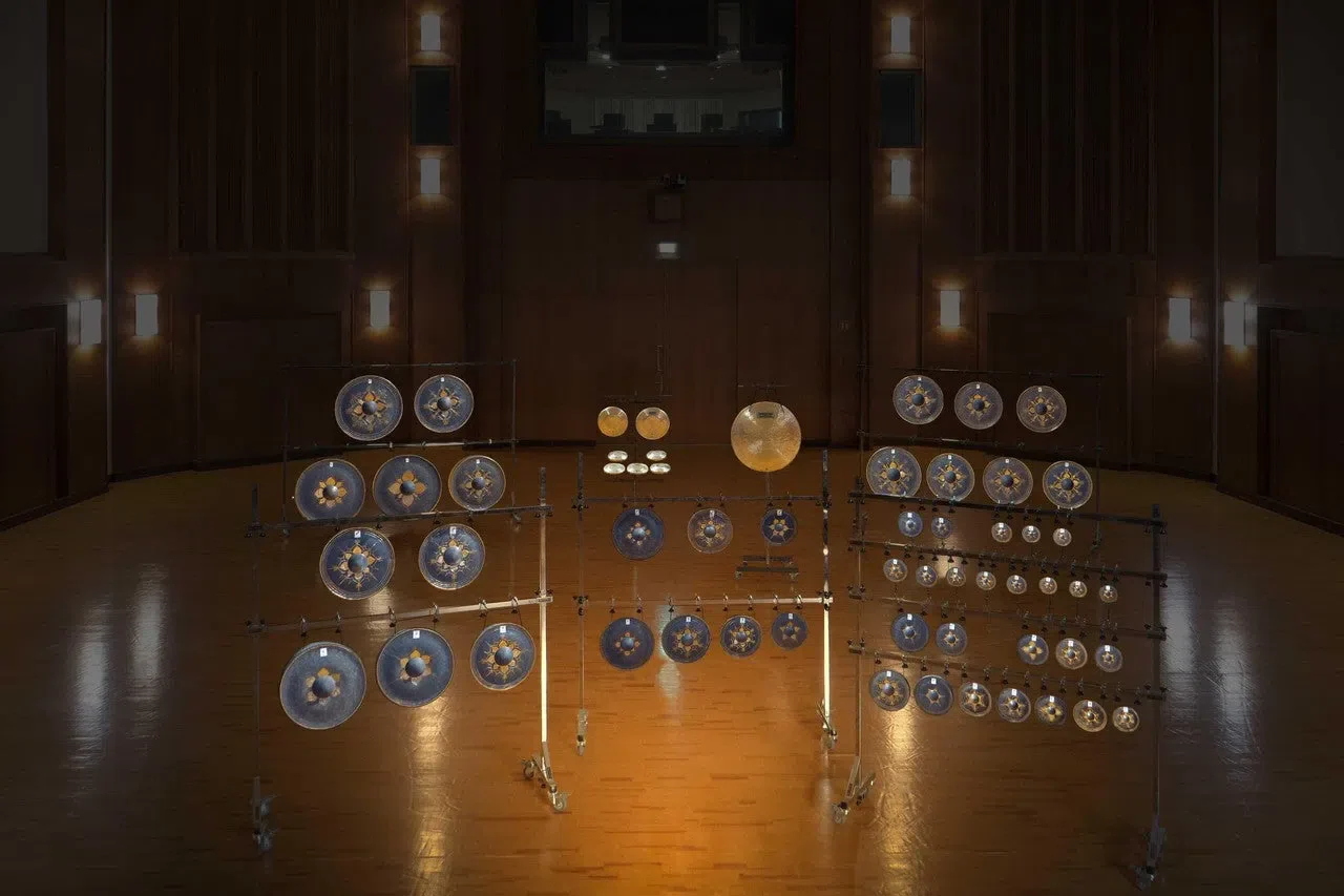 Vienna Synchron Cymbals & Gongs II Standard - Image 4