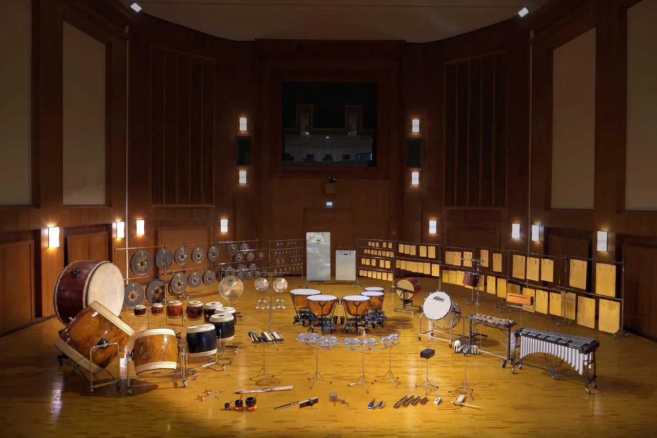 Vienna Synchron Percussion II Standard - Image 2